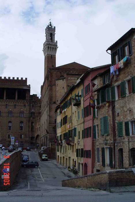 SIENA - Contrada della Torre / parterre  Festa della Vittoria del Palio